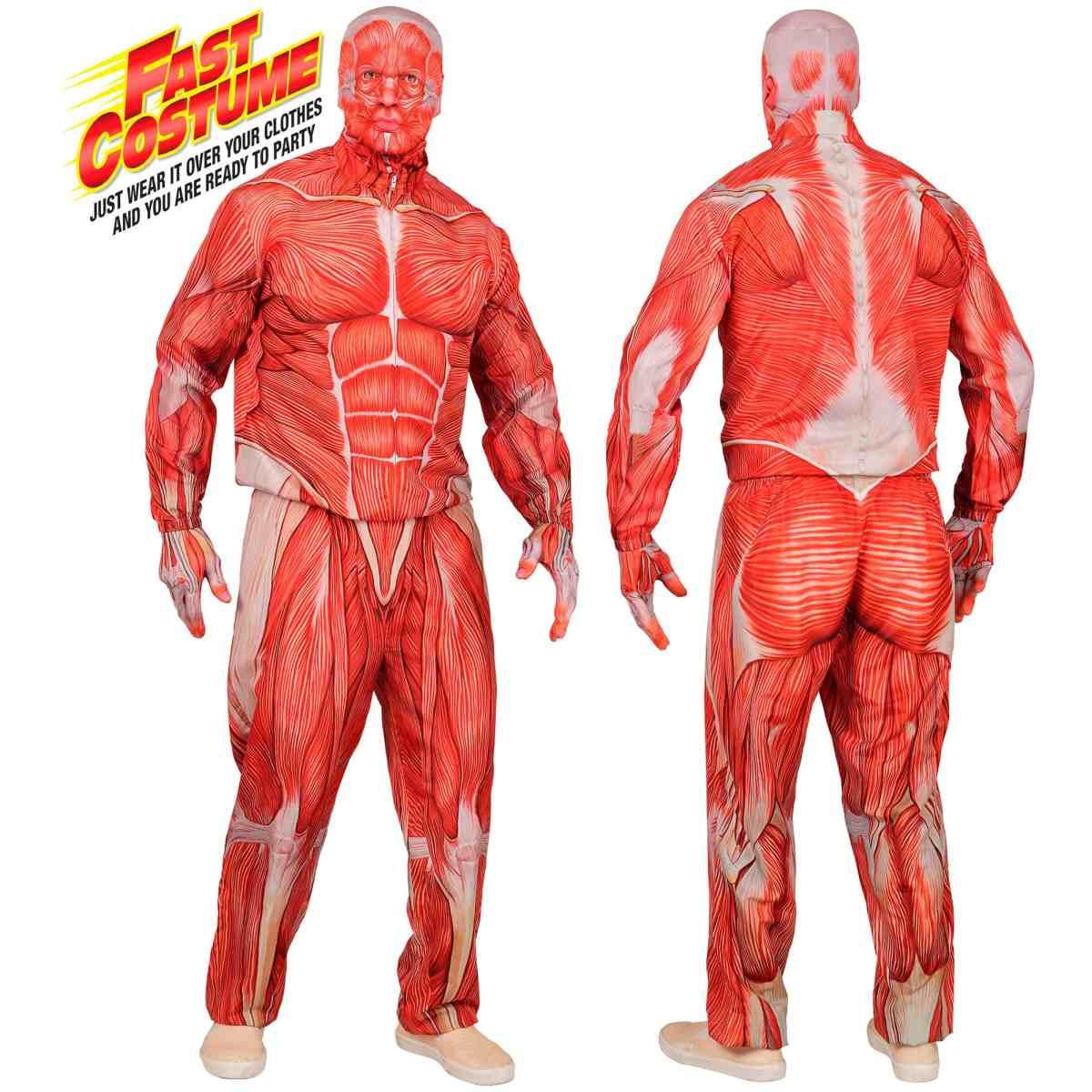 Costume anatomia fast