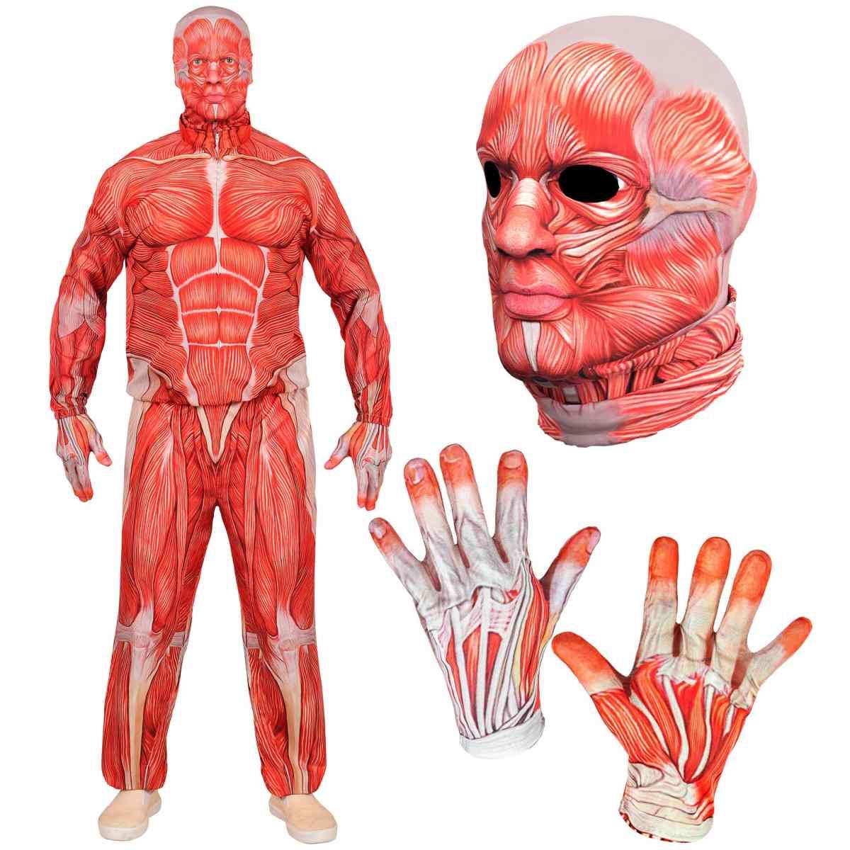 Costume anatomia fast