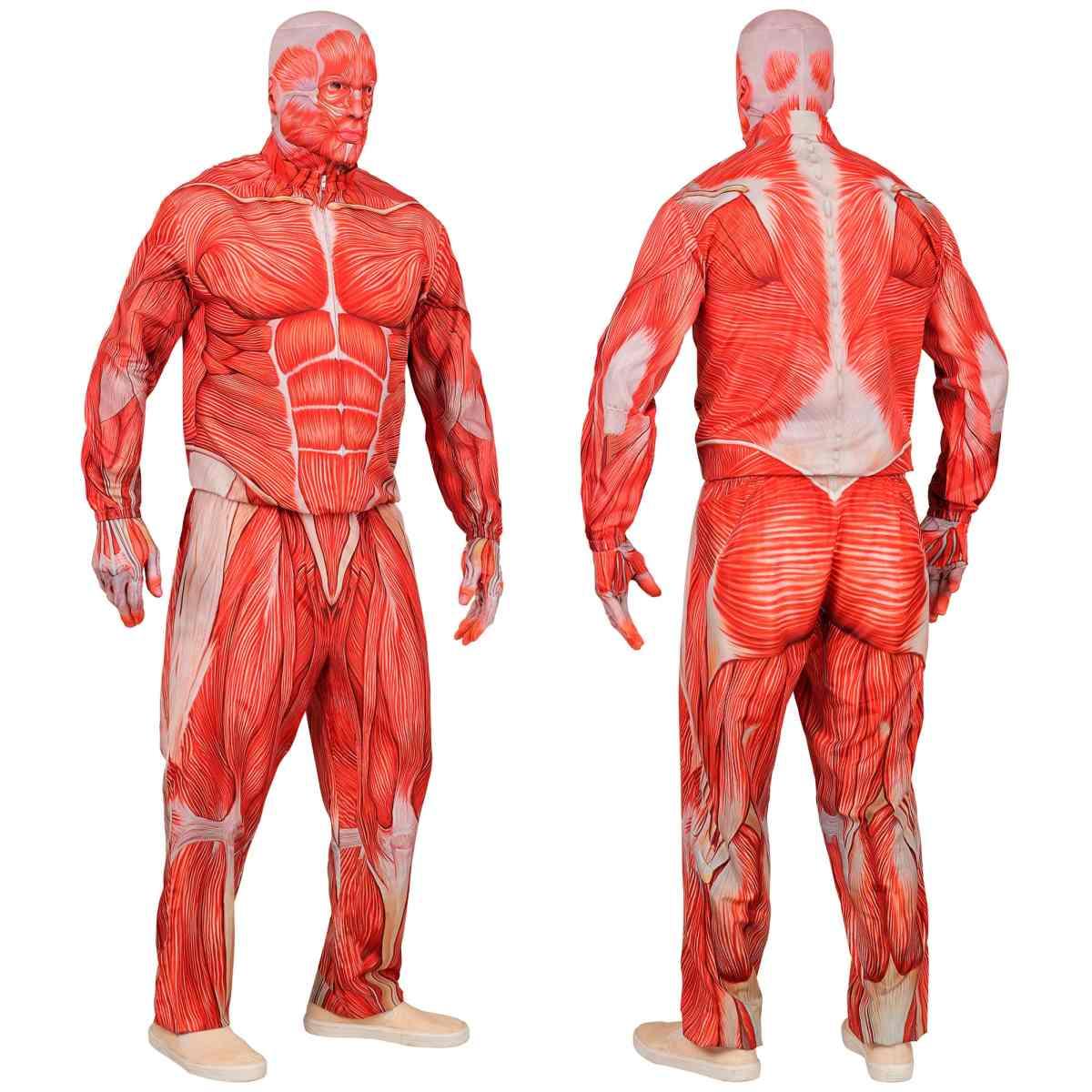 Costume anatomia fast