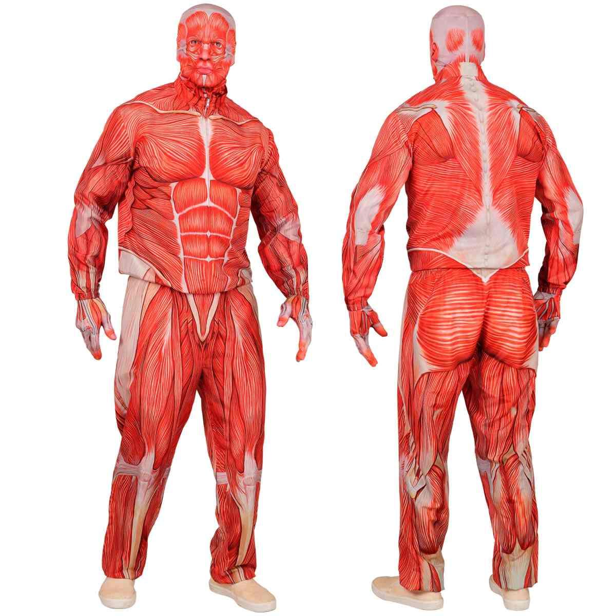 Costume anatomia fast