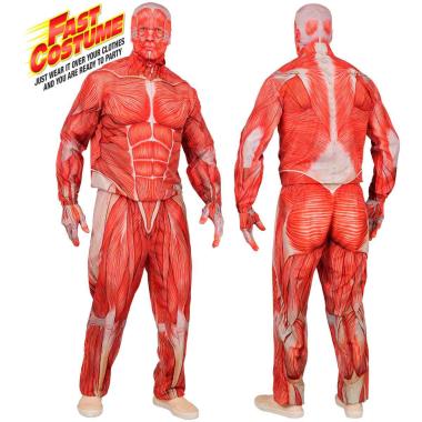 Costume anatomia fast