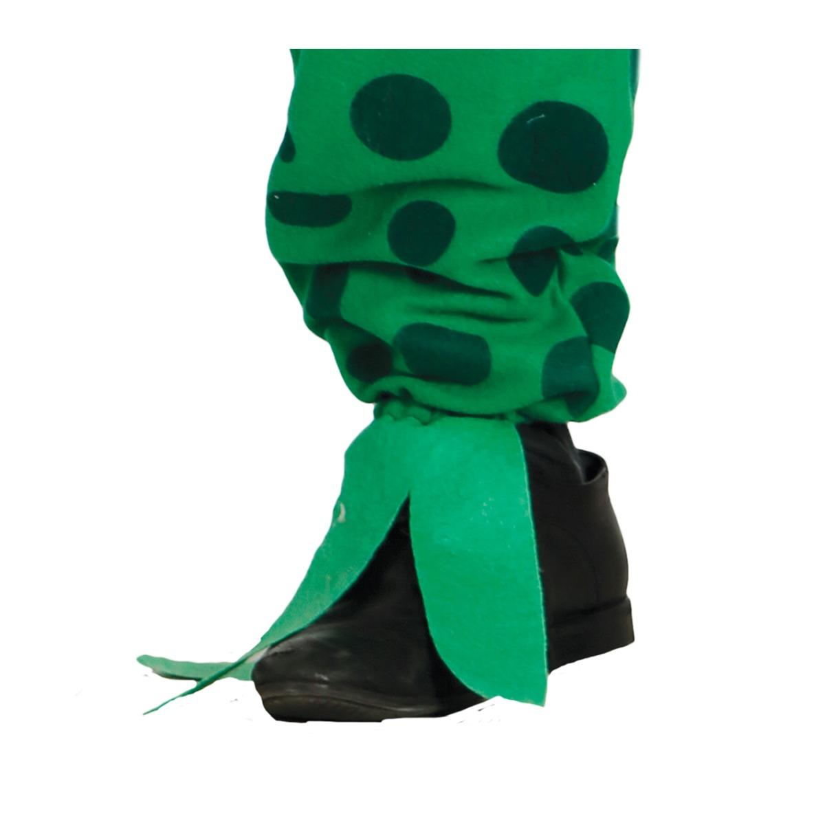 Costume rana