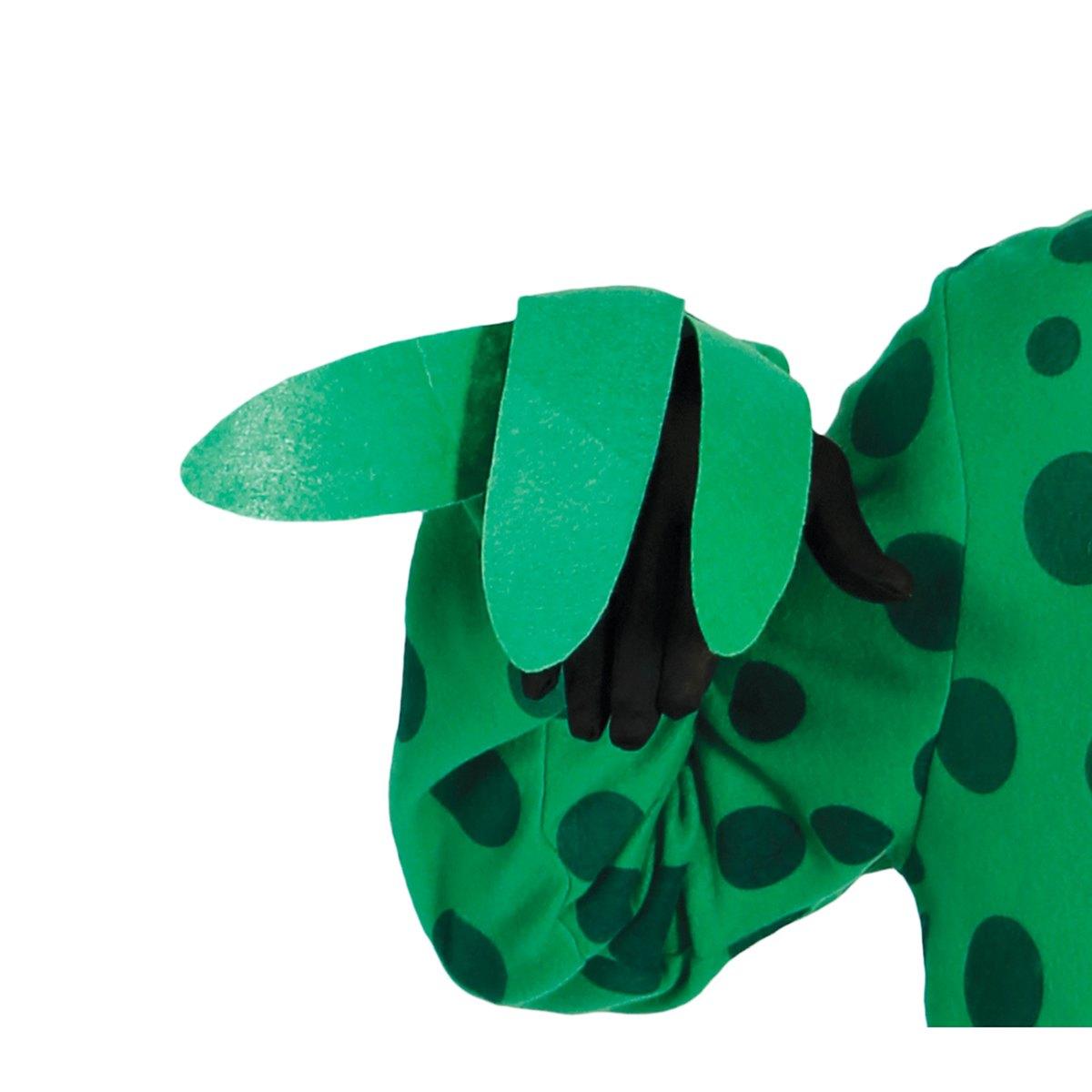 Costume rana