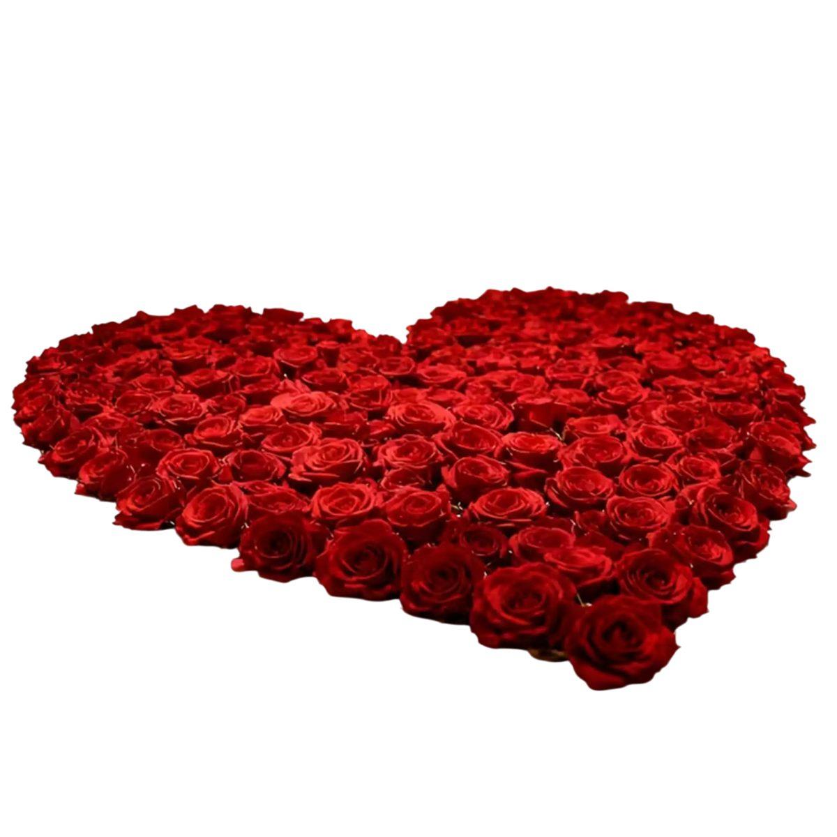 Rosa rossa Set 6 pz
