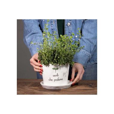 Vaso ceramica simple day scritta senti che profumo 15 cm