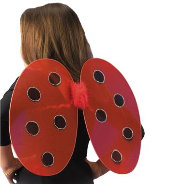 Ali coccinella rosse nere