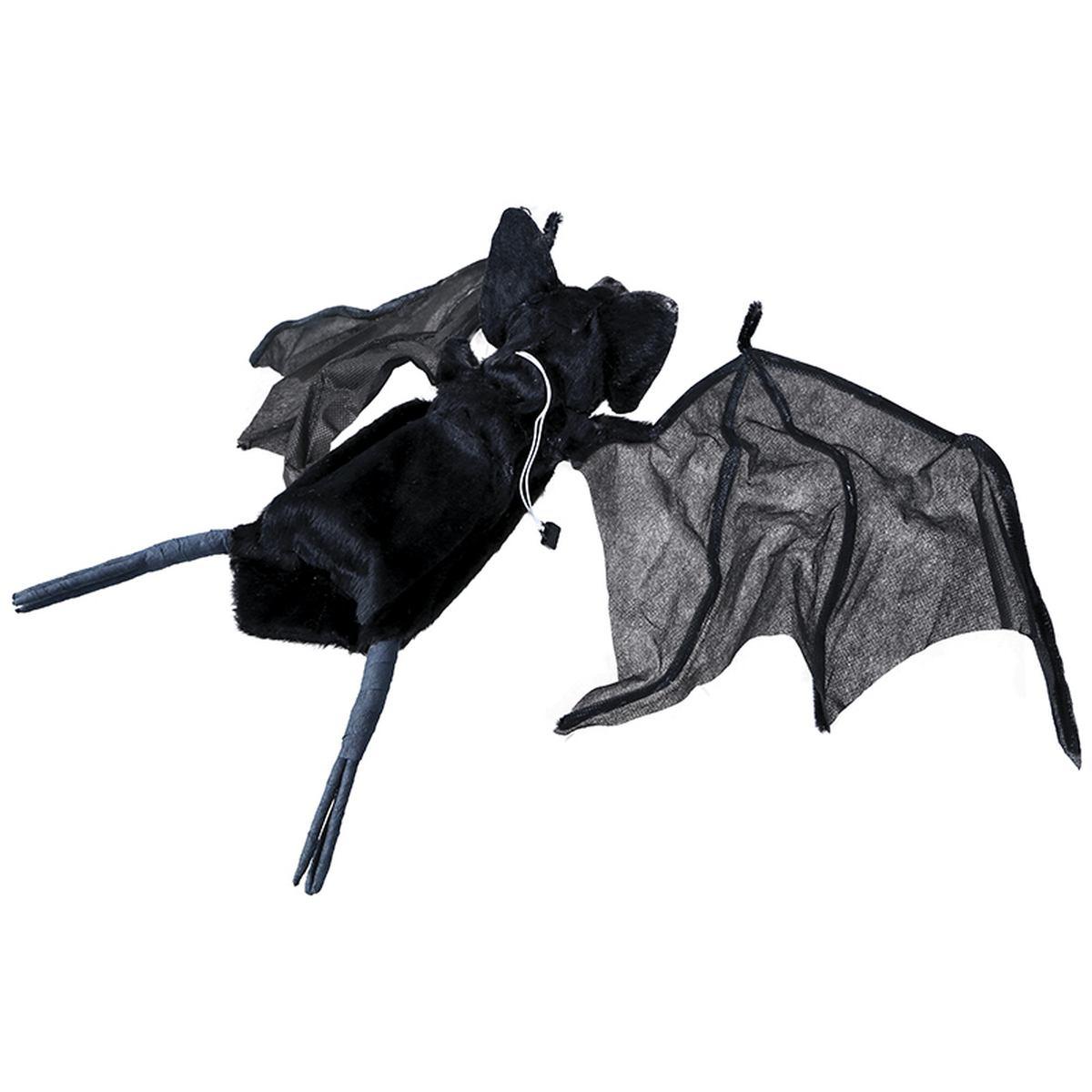 Pipistrello nero luce movimento