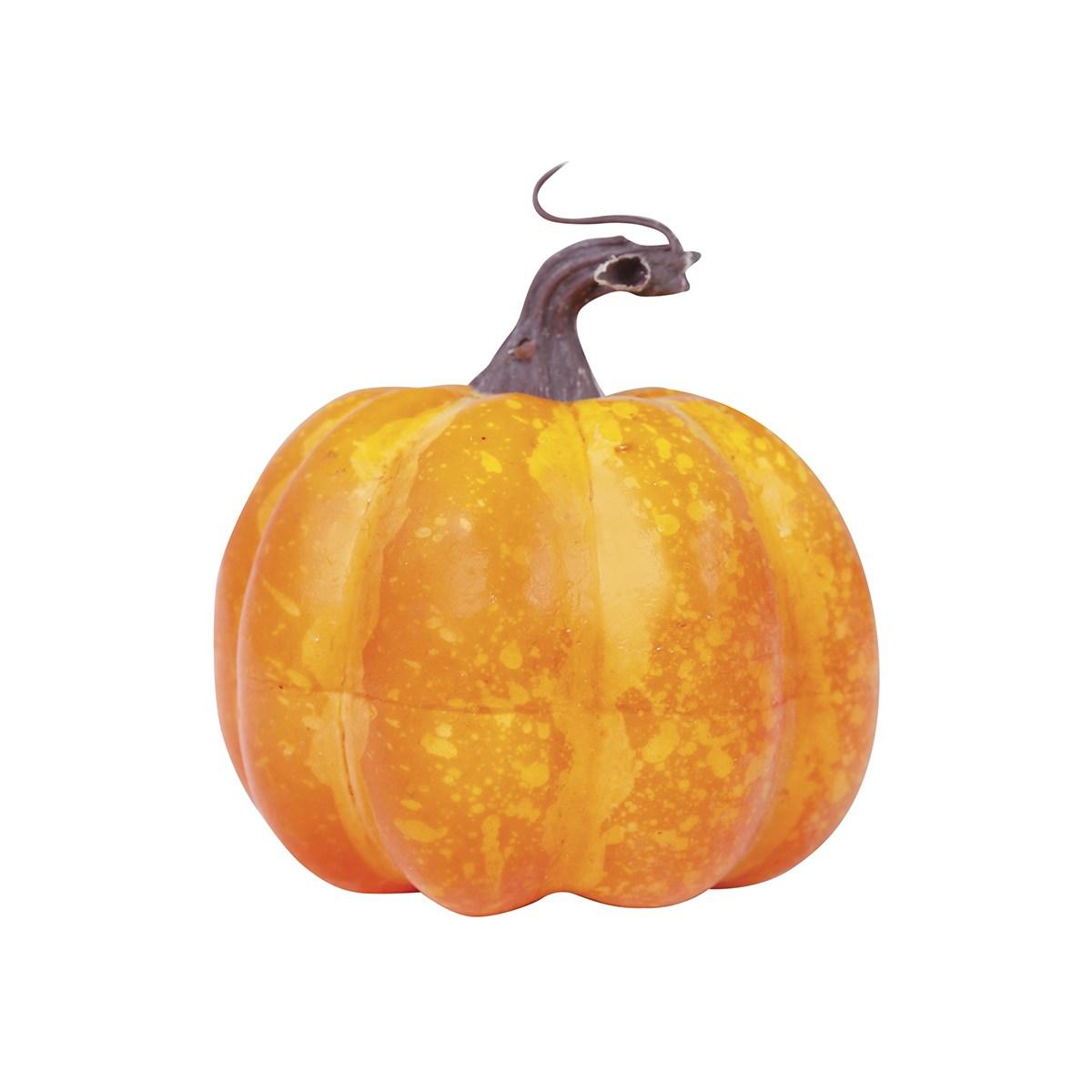Zucca schiuma Set 2 pz