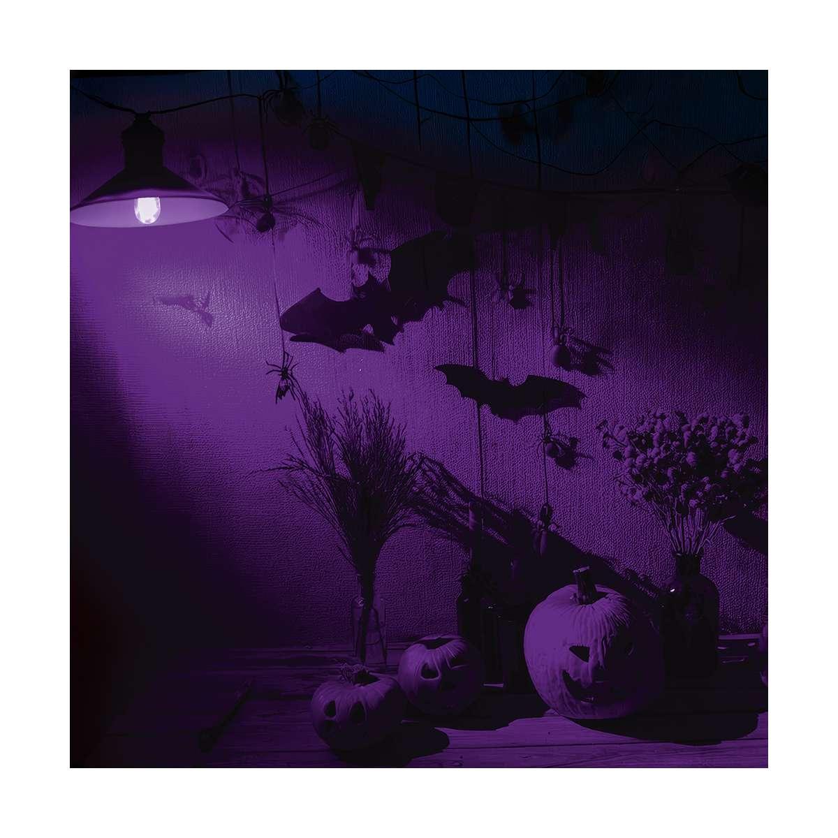 Lampadina e27 led viola modello 5w