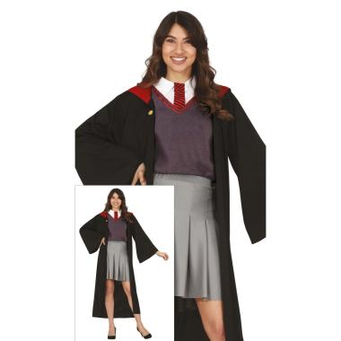 Costume harry potter
