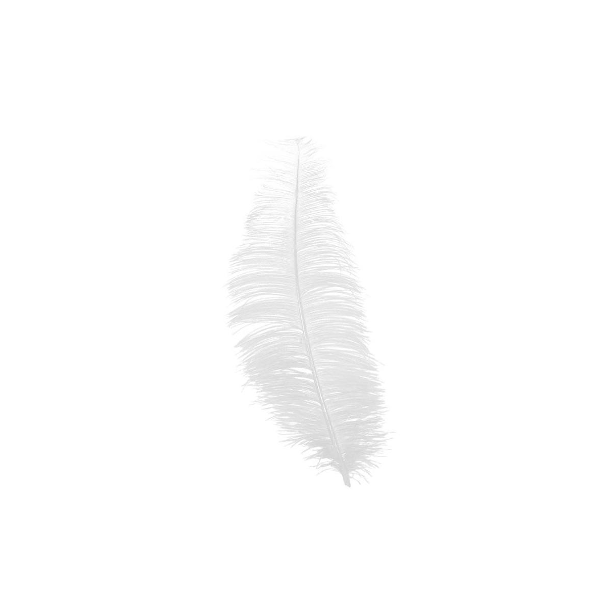 Piuma struzzo 30 bianco