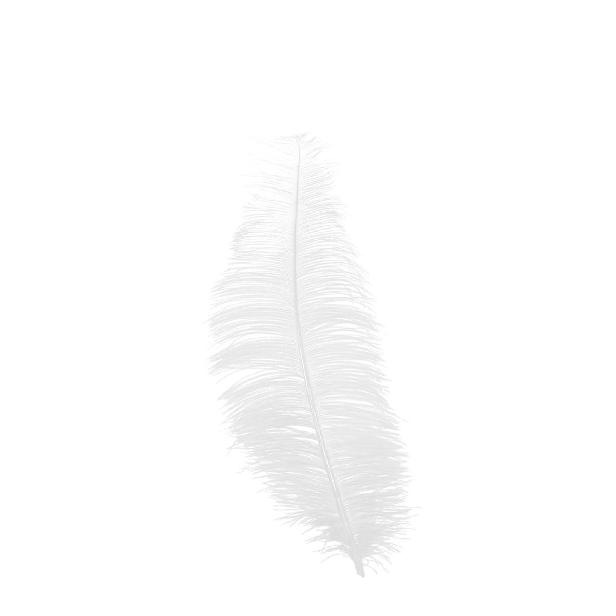Piuma struzzo 30 bianco