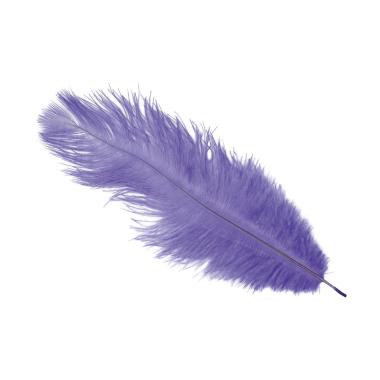 Piuma struzzo 30 viola