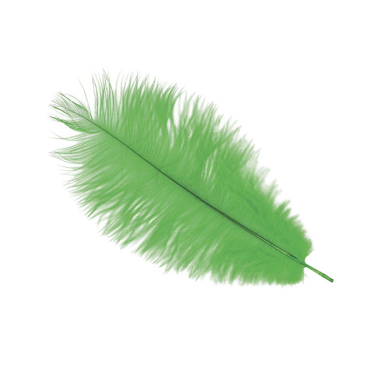 Piuma struzzo 30 verde