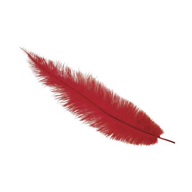 Piuma struzzo 40 rossa
