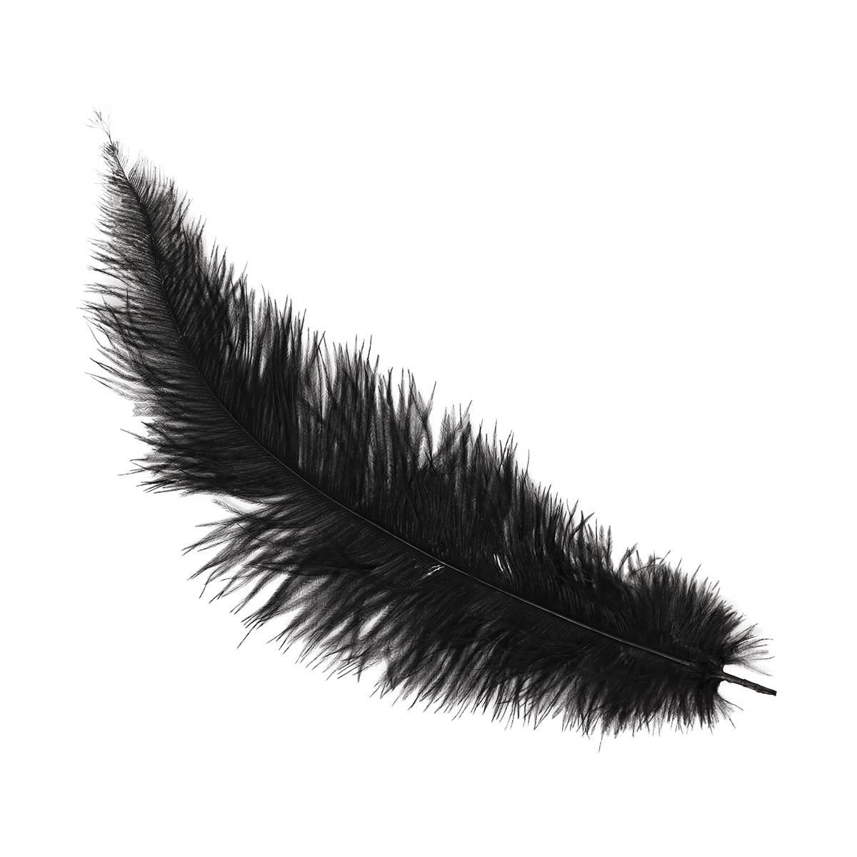 Piuma struzzo 40 nera
