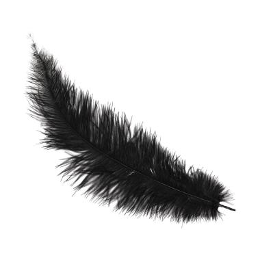 Piuma struzzo 40 nera