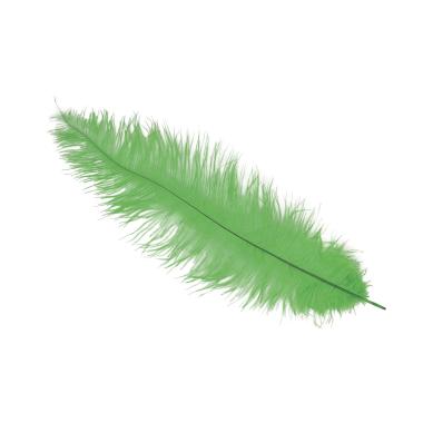 Piuma struzzo 40 verde