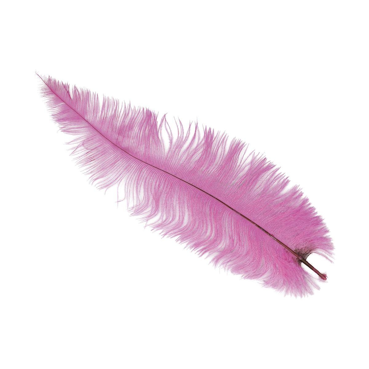 Piuma struzzo 40 rosa