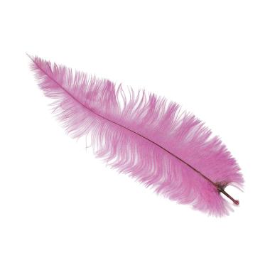 Piuma struzzo 40 rosa