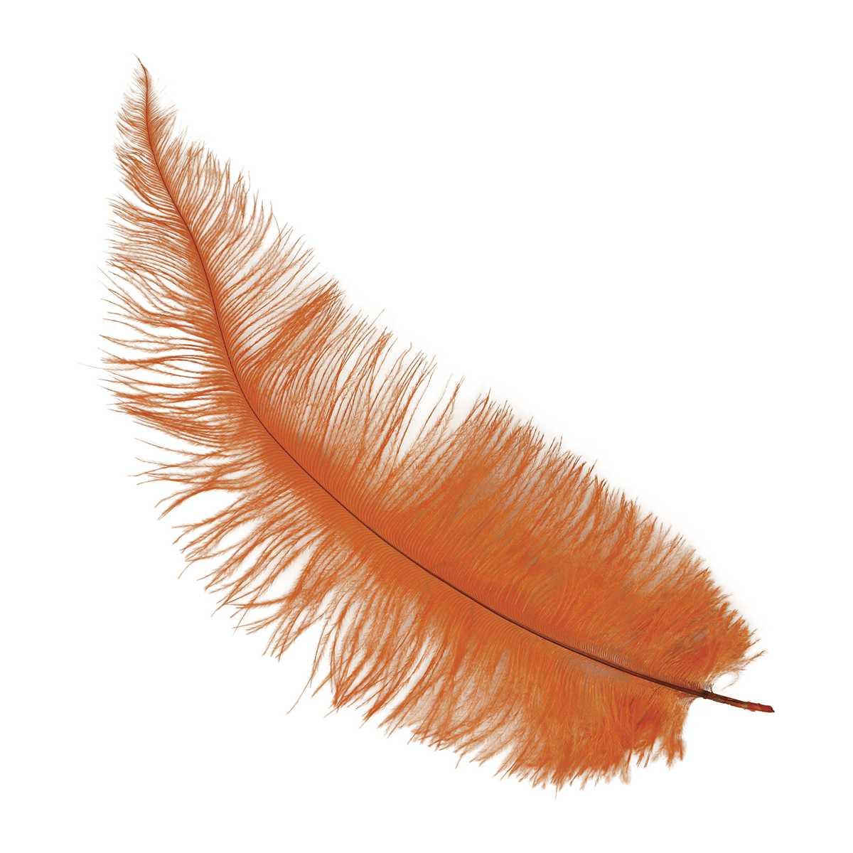 Piuma struzzo 40 arancione
