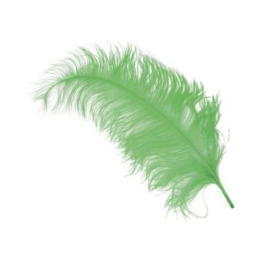 Piuma struzzo 50 verde