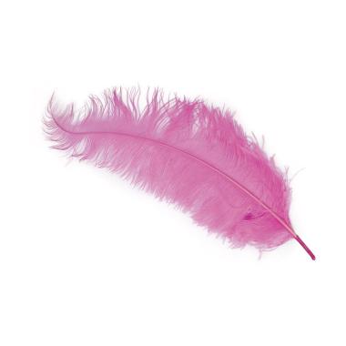 Piuma struzzo 50 rosa