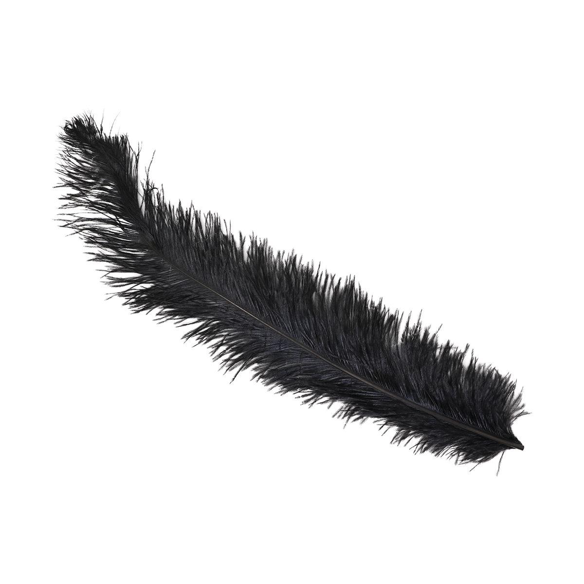 Piuma struzzo 50 nero