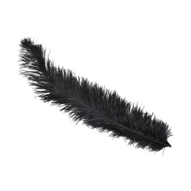 Piuma struzzo 50 nero