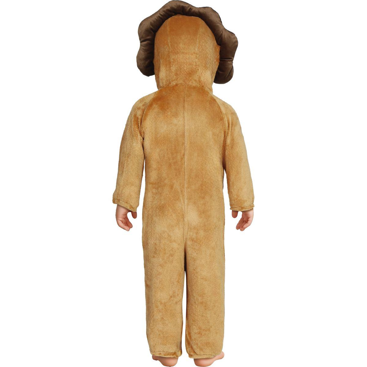Costume leone