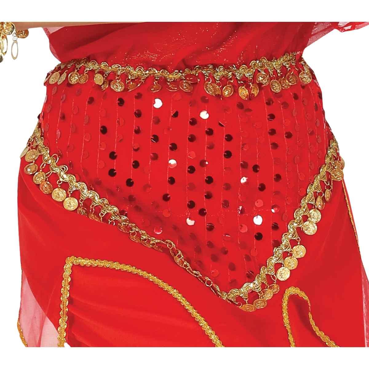Costume indiana hindi donna h4
