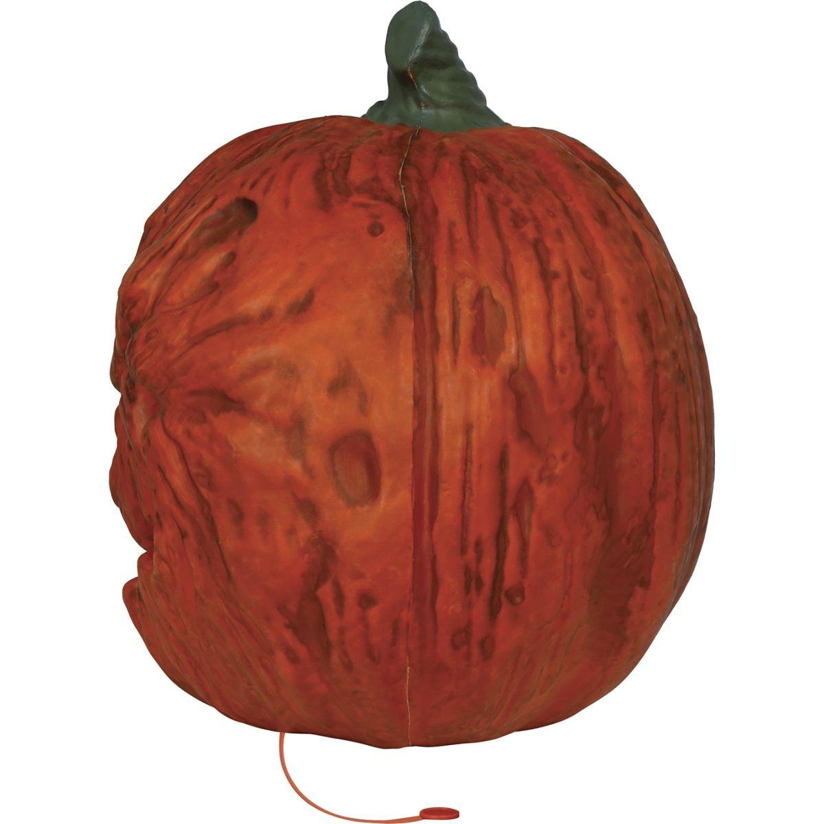 Zucca pvc luce 38 cm