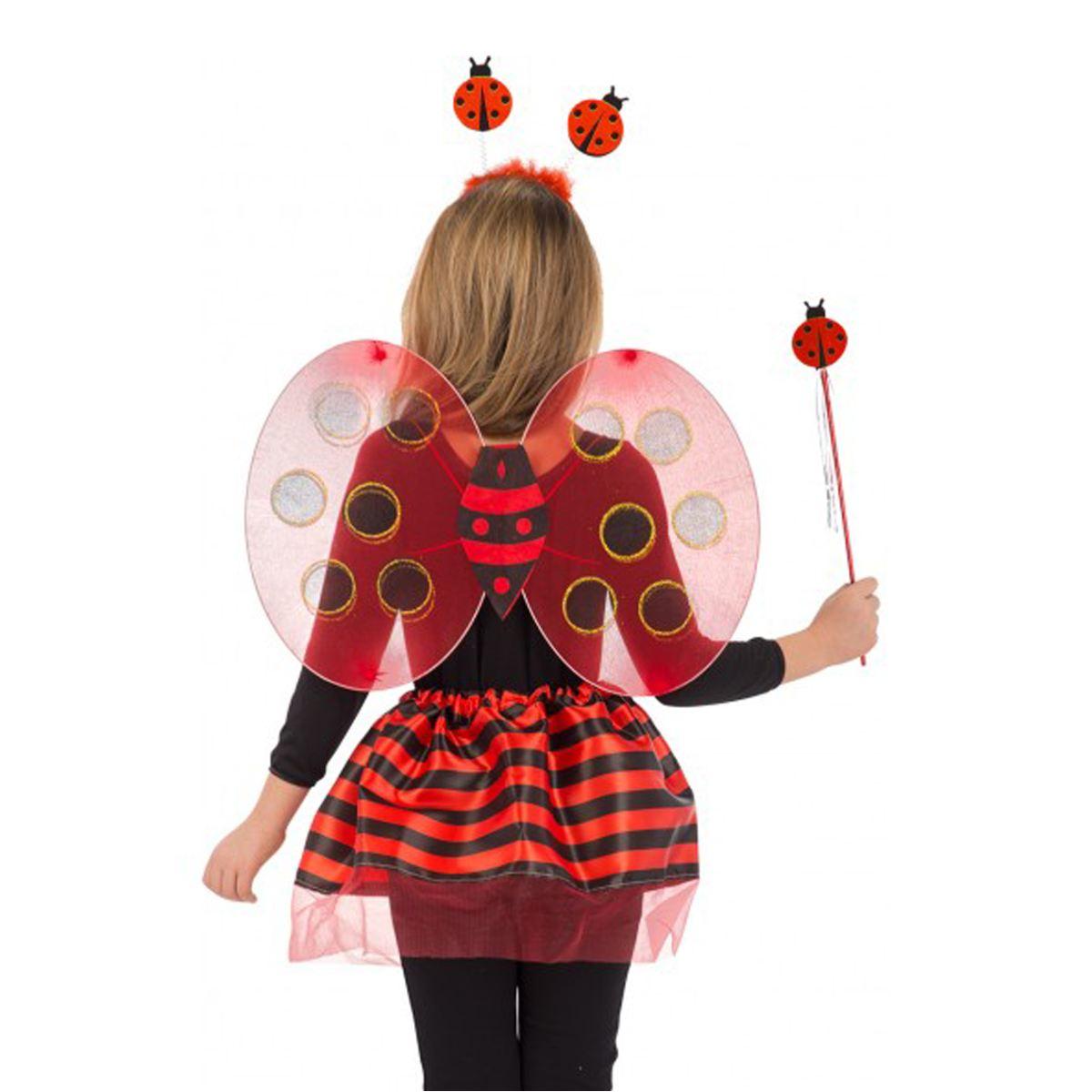 Coccinella rossa