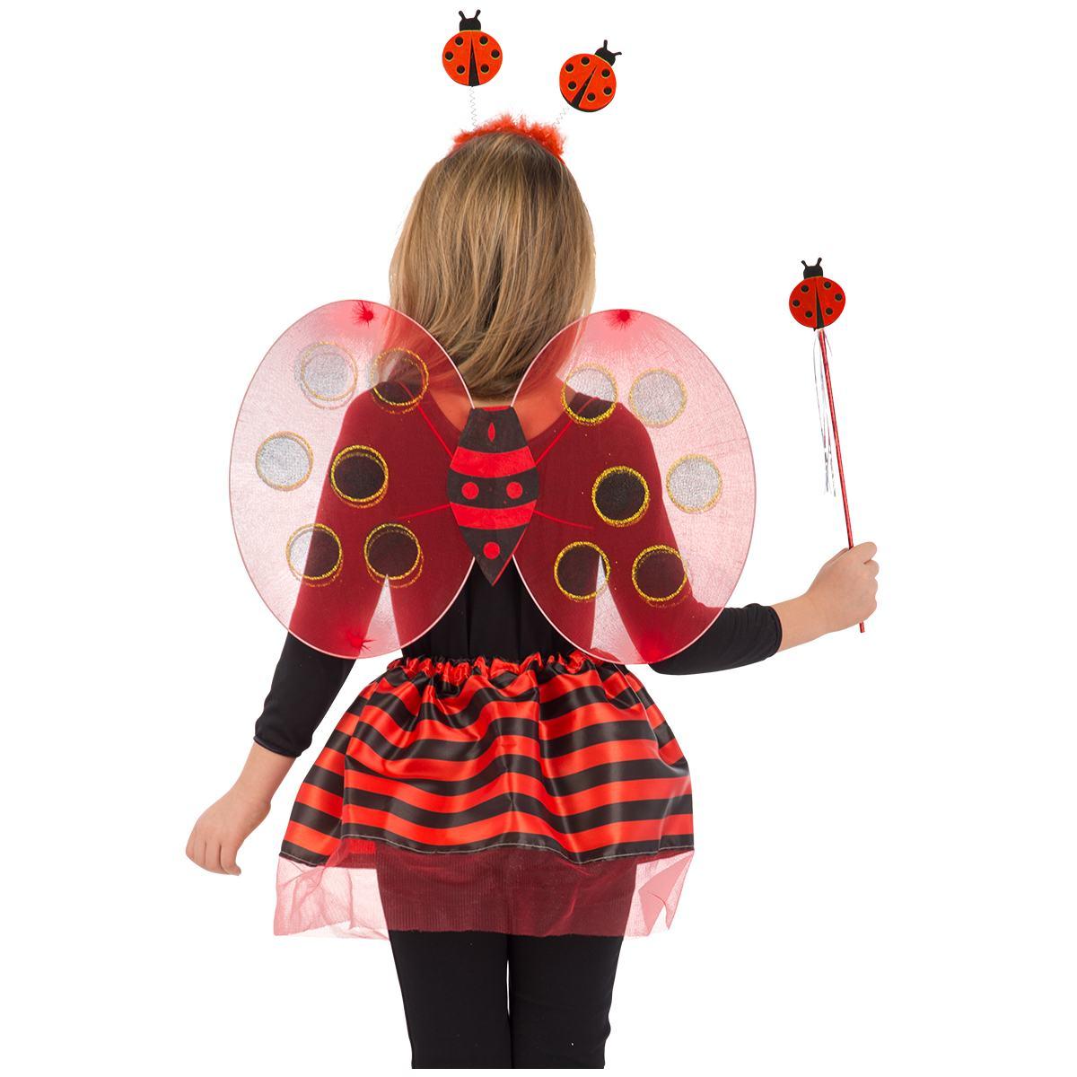 Coccinella rossa