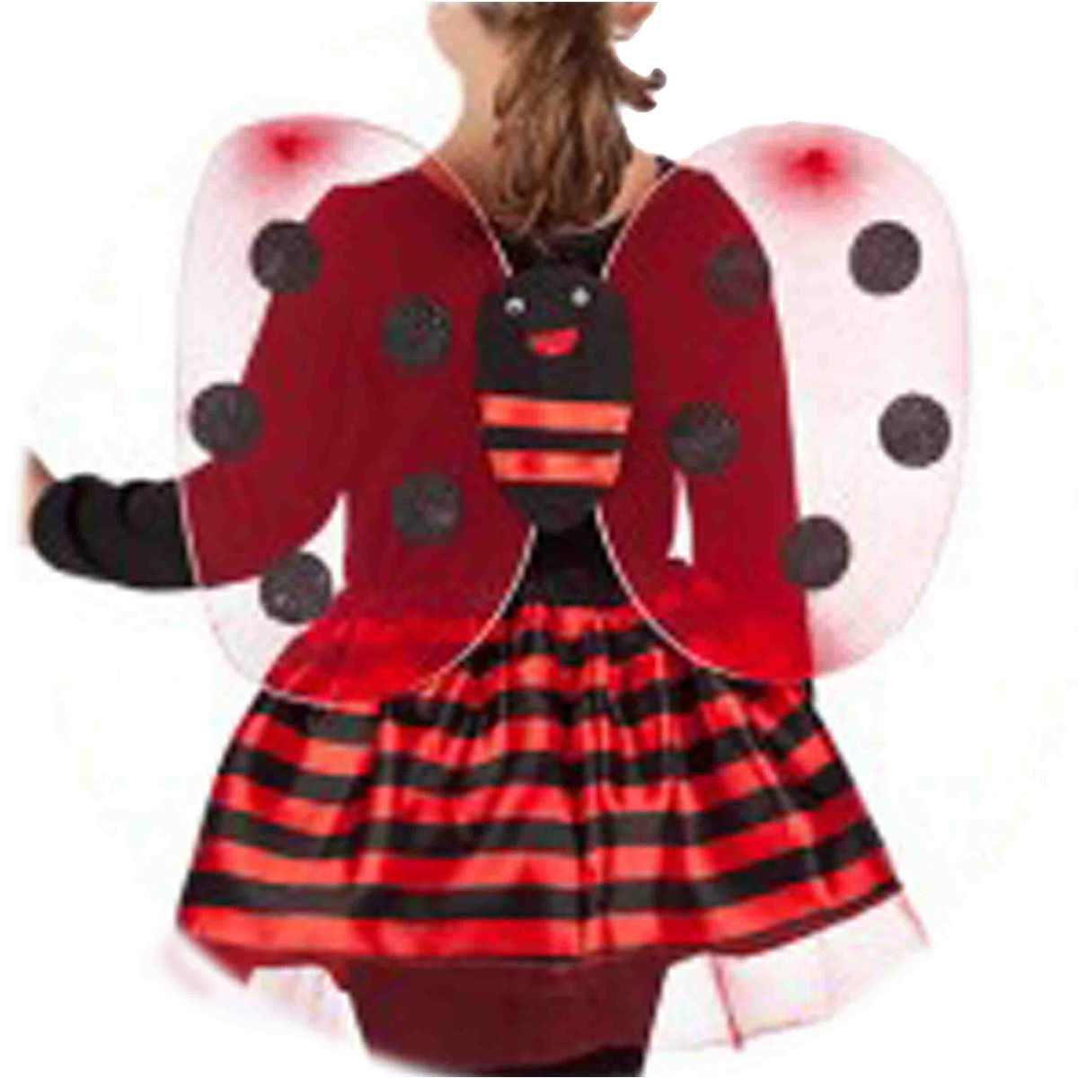 Coccinella da