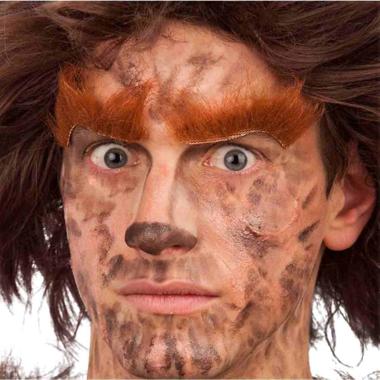 Trucco sopracciglia rame uome lupo