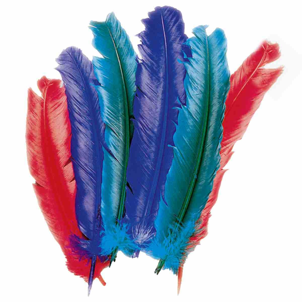 Piume struzzo 30 colori assortiti