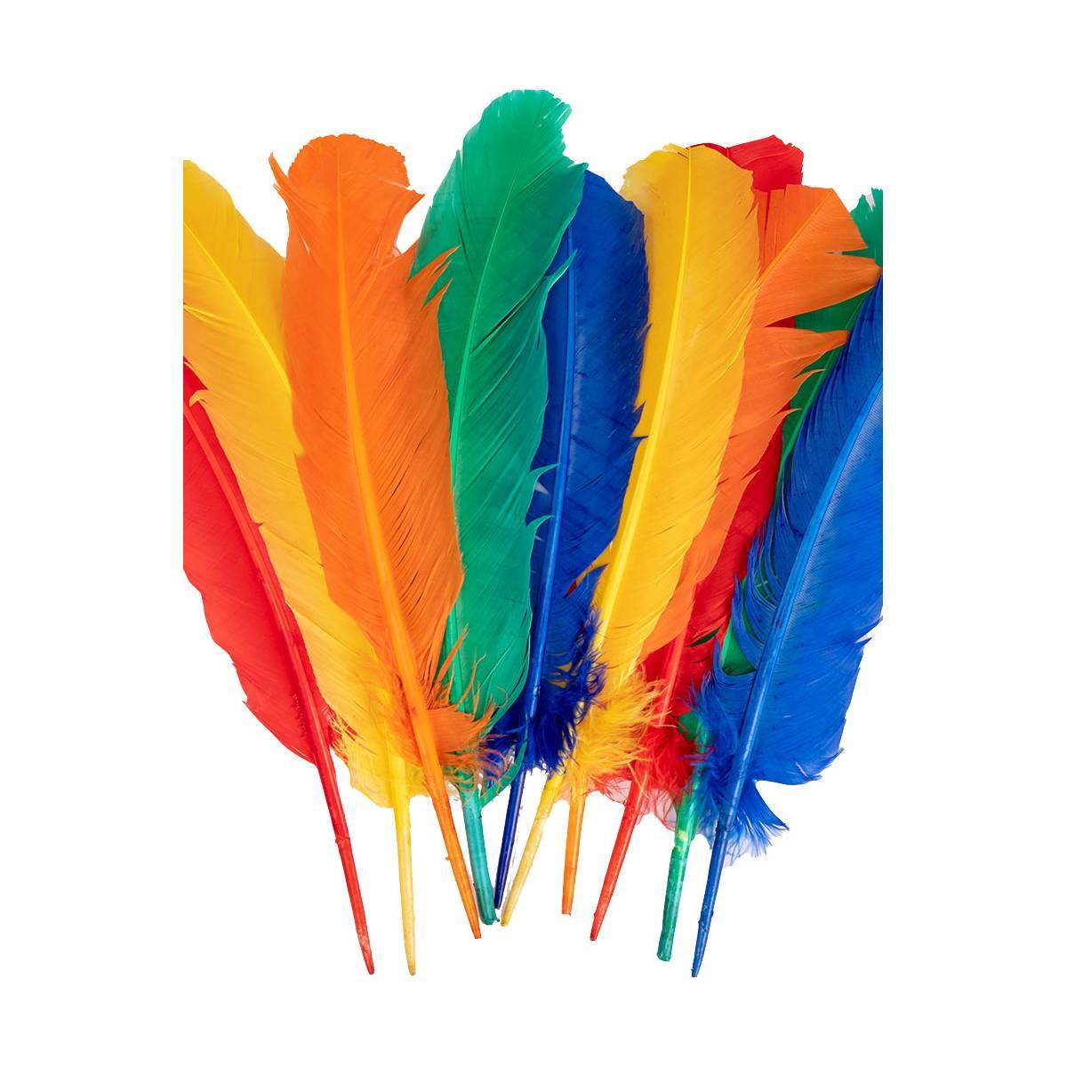 Piume struzzo 30 colori assortiti