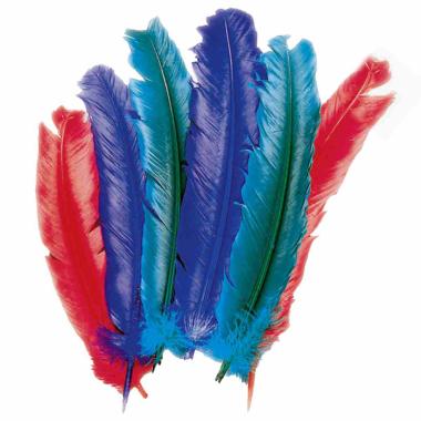 Piume struzzo 30 colori assortiti
